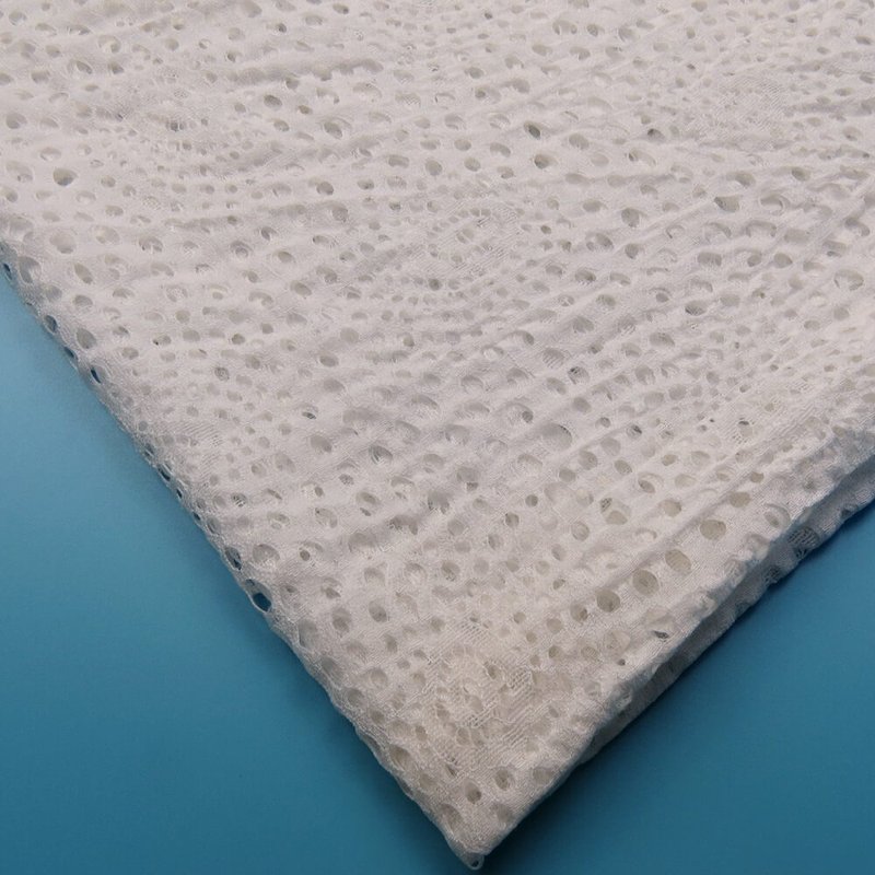 Lace Fabric Eyelet for Women's Wear Wholesale Supplier 11